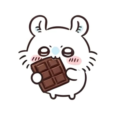 板チョコレートを両手で持ってかじるモモンガのかわいいプロフィール画像