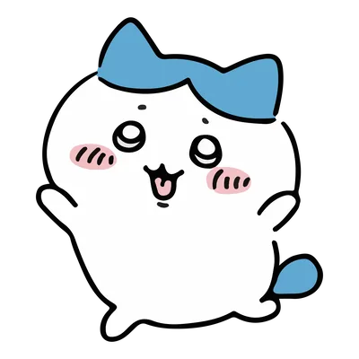 目を輝かせて見上げる笑顔のかわいいハチワレ透過PNG