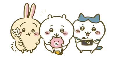 カメラや杖を持ったちいかわ・ハチワレ・うさぎの仲良しPNG画像