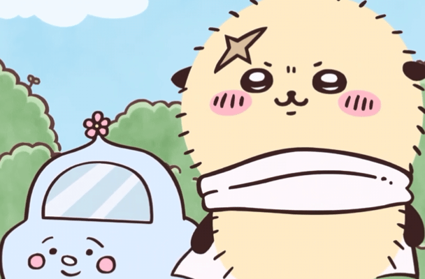 가시 달린 옷을 입고 결연한 표정을 짓는 해달과 귀여운 자동차 GIF