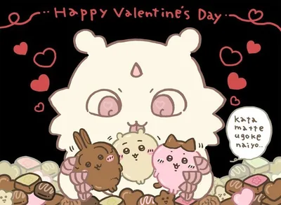 Cute Aoko holding sweet Valentine chocolates from Chiikawa series PFP
