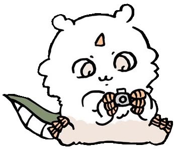 Chiikawa Aoko holding a tiny camera cute monster Matching PFP
