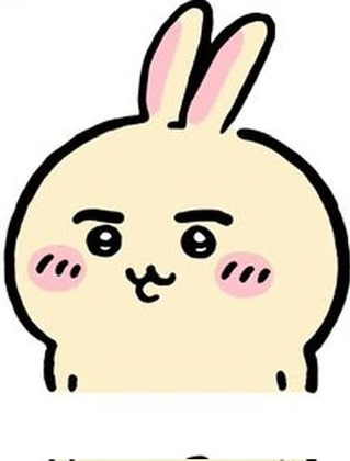 Smug Usagi with funny confident face Chiikawa Matching PFP