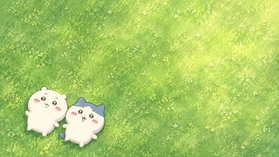 Chiikawa and Hachiware lying on a sunny green meadow for PC Background