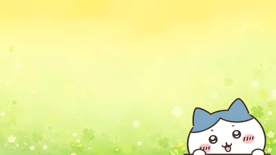 吉伊卡哇系列的小八在充满治愈感的绿色三叶草草地中探头的可爱电脑壁纸