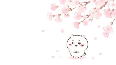 Cute Chiikawa standing under blooming cherry blossoms for PC Background