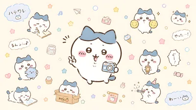 Hachiware taking photos and enjoying daily life moments for PC Wallpaper