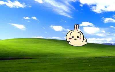 Usagi lying on a scenic green hill under a blue sky for PC Wallpaper