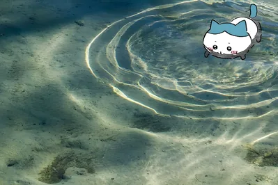 Hachiware from Chiikawa swimming in clear rippling water for PC Wallpaper