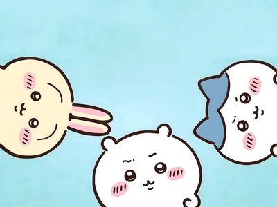 치이카와, 가르마, 토끼가 얼굴을 쏙 내민 사랑스러운 하늘색 데스크톱 배경화면