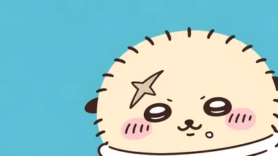 푸른 배경에 별 흉터가 돋보이는 늠름하고 귀여운 랏코 데스크톱 배경화면