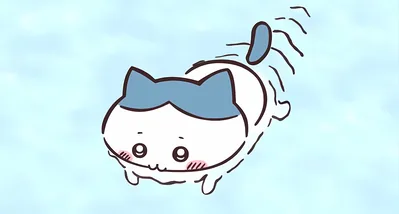 Cute Hachiware happily swimming in light blue water for PC Background