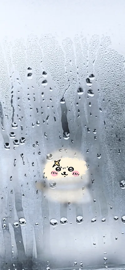 Cute Usagi behind a rainy foggy window for Phone Background