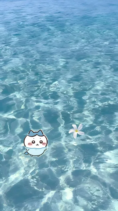 透き通った青い海でぷかぷかと泳ぐハチワレの癒やされる可愛いスマホ壁紙