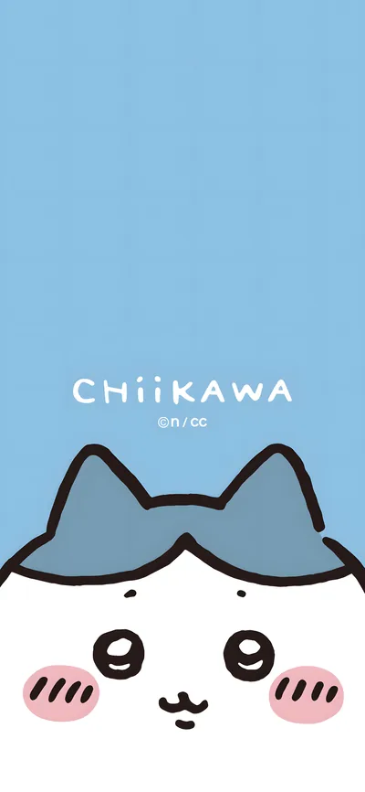 ひょっこり顔を出す可愛いハチワレの水色スマホ壁紙